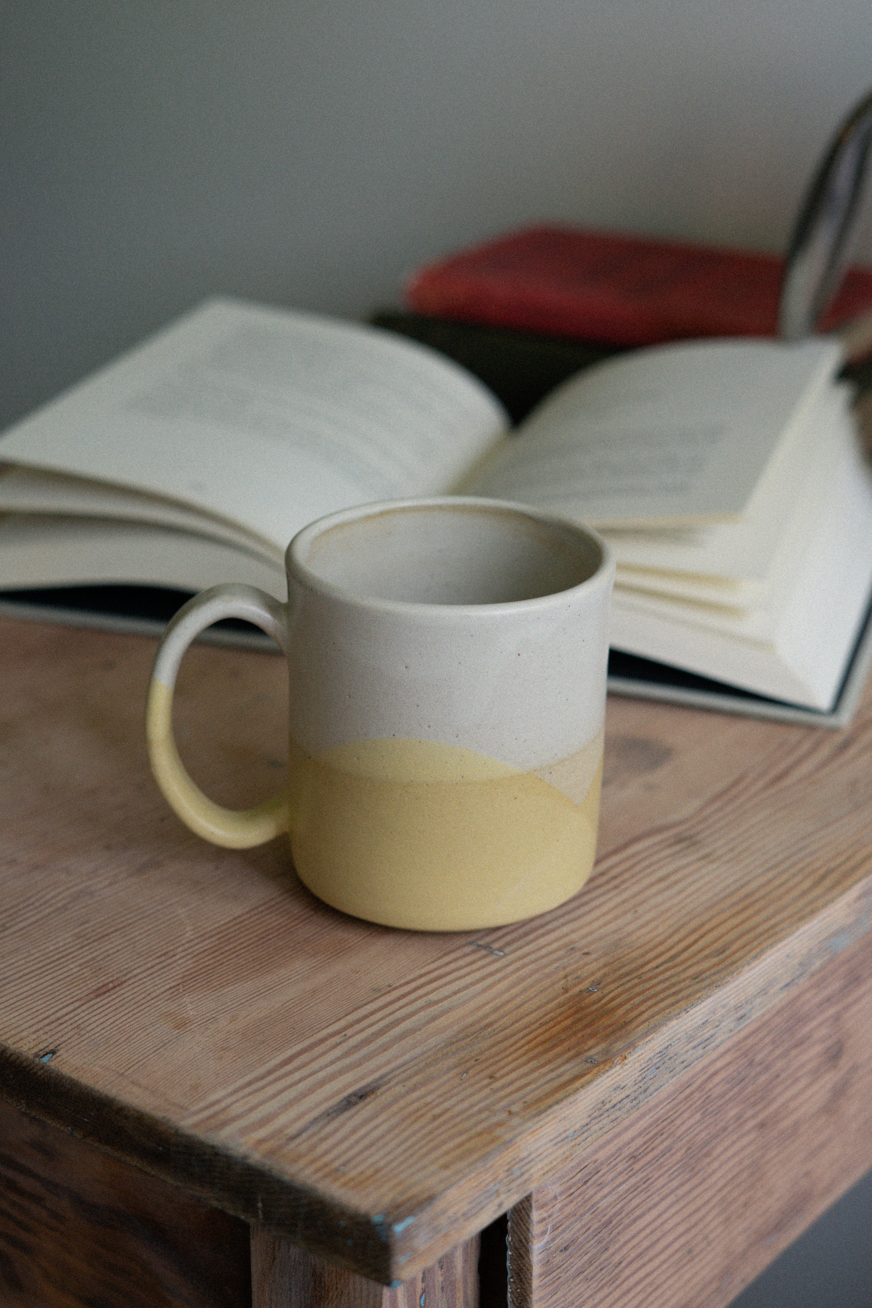 The Everyday Mug